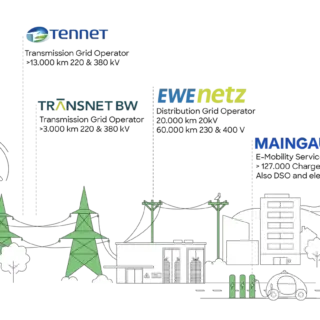 Project partners in GRIDS & BENEFITS project