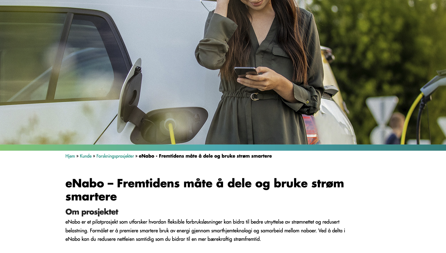 Screenshot of Norgesnett's eNabo page