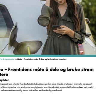 Screenshot of Norgesnett's eNabo page